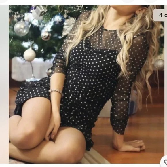 Zara Tulle Silver Dot Swiss Dress - Picture 2 of 16